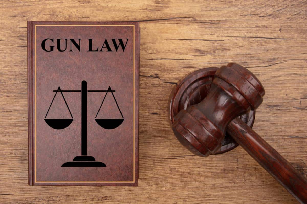 Gun Control Law