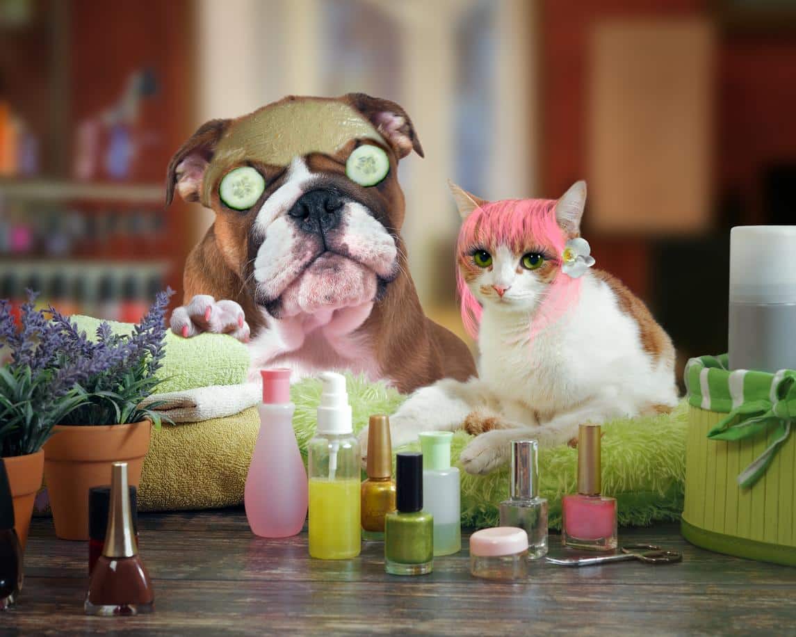 Testing of cosmetics on all non-human animals is now illegal in California.